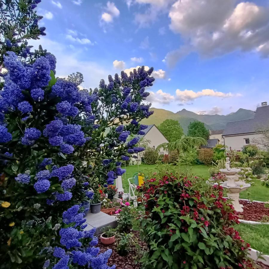 Le Balcon Des Cimes Apartment *