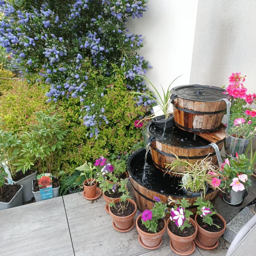 Le Balcon Des Cimes Apartment Adast