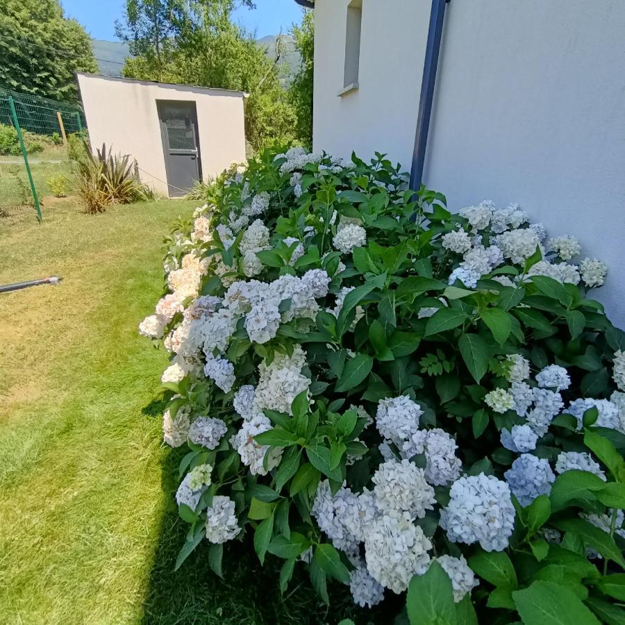 Le Balcon Des Cimes
