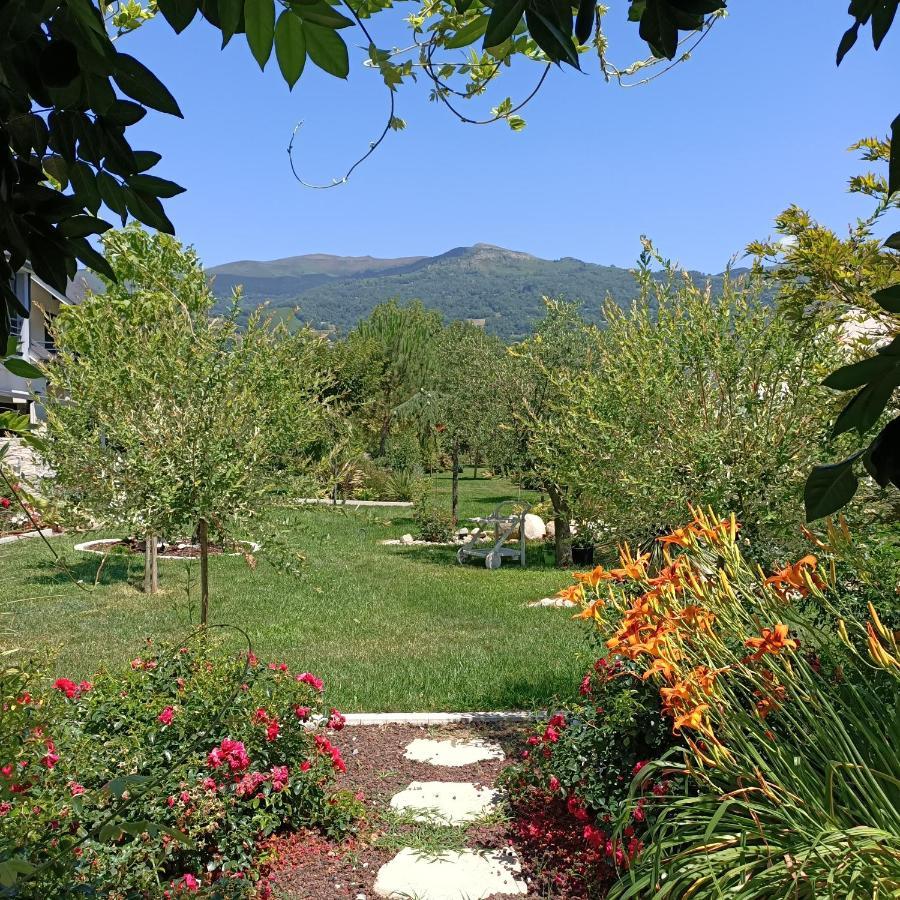 Le Balcon Des Cimes Appartement *